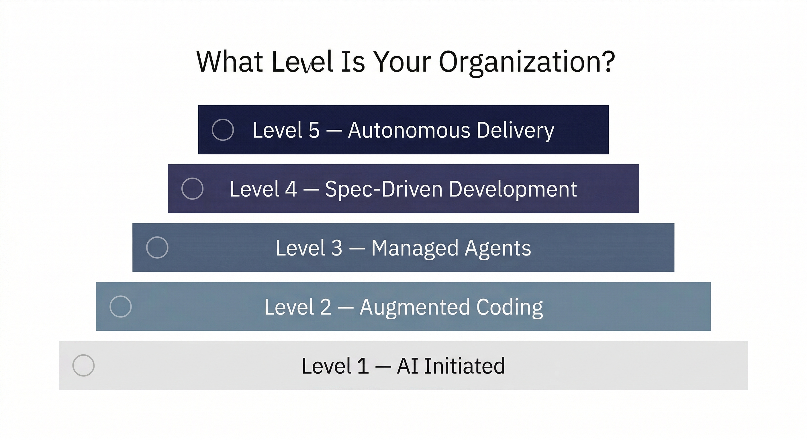 Self Assessment Ladder
